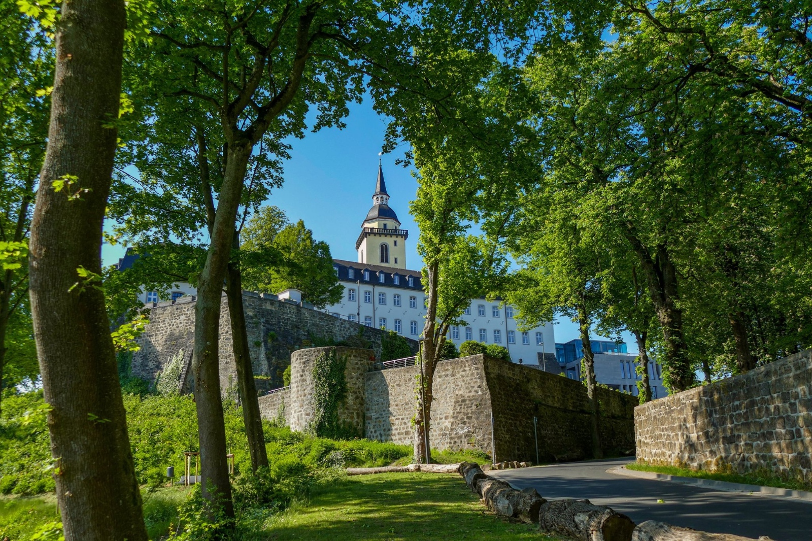 Frühling - Nordseite von der Bergstraße